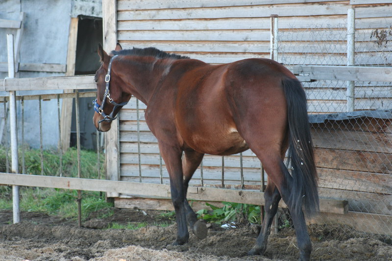 IMG_1264.jpg1.jpg"%20height="533"%20width="800